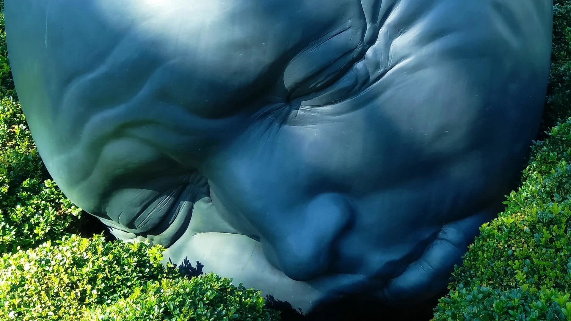 Blaues Gesicht im Gras liegend, scheinbar traurig und Augen geschlossen