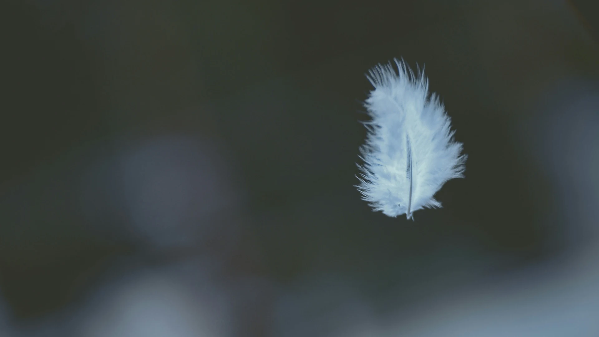 Feder im Wind als Symbol für Leichtigkeit